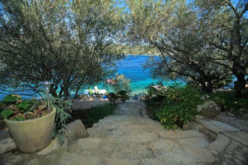 Paradise