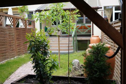 Hostal Tulip Home Guest House