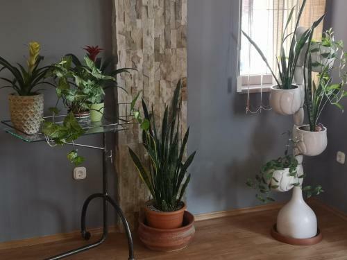 Hotello Apartmanh�z �s Panzi�