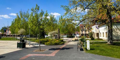Hostal Vikt�ria Panzi� Zam�rdi