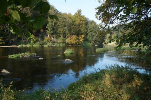 Hostal Gasthof Metzgerwirt