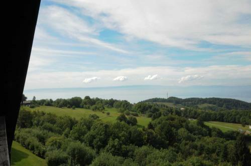 Apartamento Duplex Le Y�ti 16 Station Thollon Les M�mises