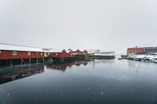 Lodge Lofoten Cabin And Kayak Rental