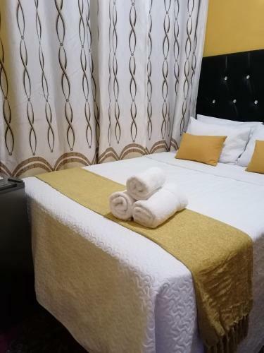 Hostal The Croc Guest House
