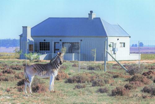 L'ermitage Quagga Lodge