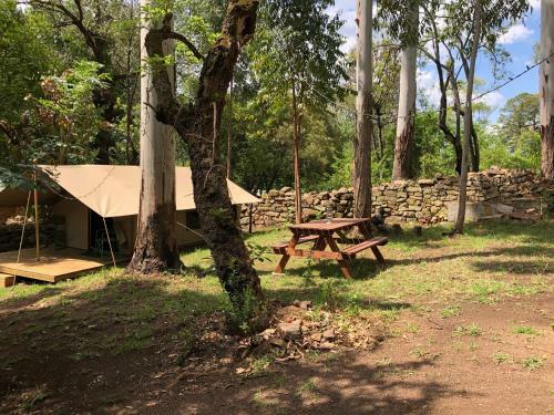 Lodge Tegwaan Country Getaway