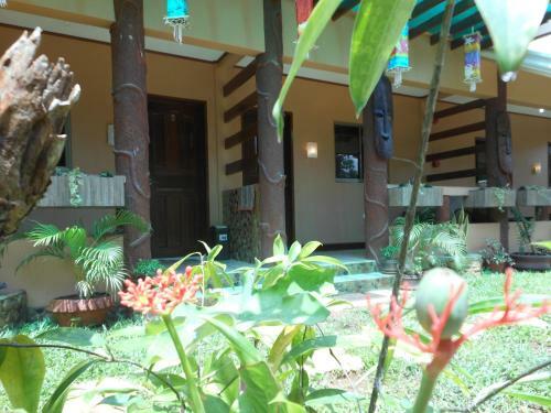 Hostal Jungle Flower Guest House