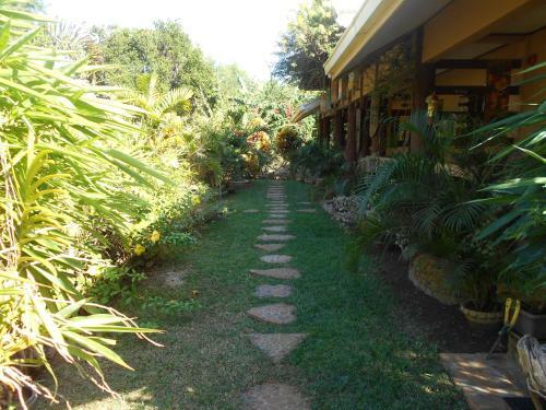 Hostal Jungle Flower Guest House