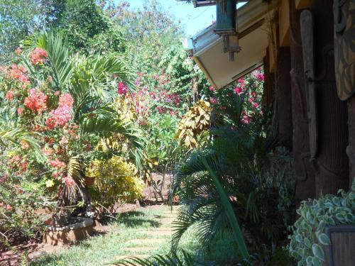 Hostal Jungle Flower Guest House