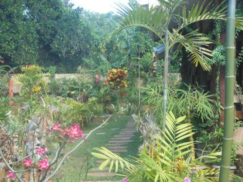 Hostal Jungle Flower Guest House