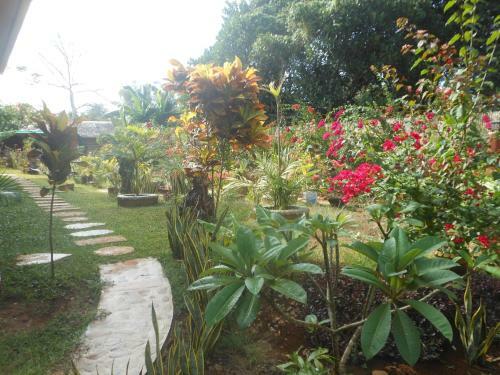 Hostal Jungle Flower Guest House