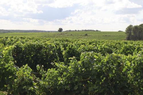 Hostal Domaine Des Tilleuls