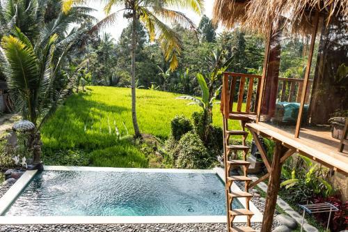 Lodge Bali Bamboo Jungle Huts And Hostel