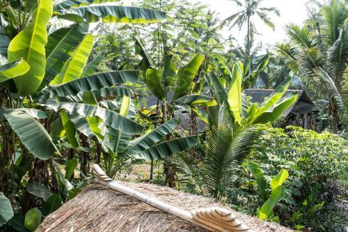 Lodge Bali Bamboo Jungle Huts And Hostel