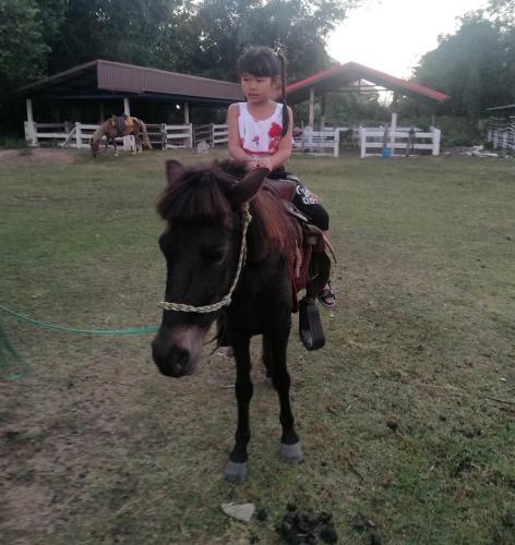 Hotel Dome Ing Prao Cowboy Home-stay