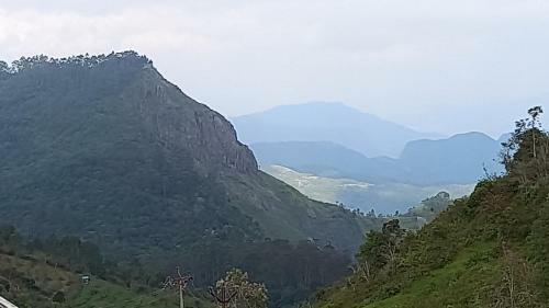 Salora Kodai