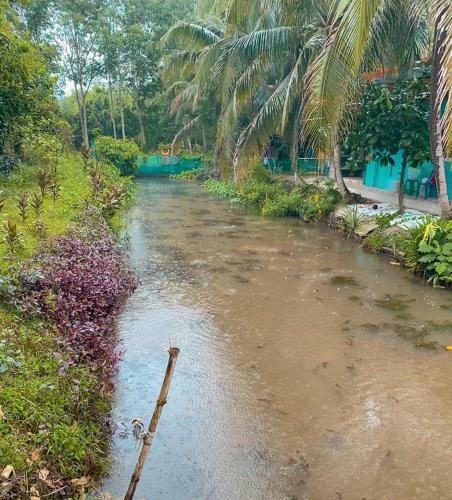 Nakhon Si Ban Na Homestay