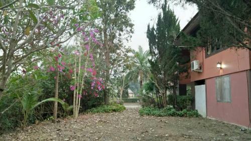 Baan Ratana Hostel-twin Single Bedroom