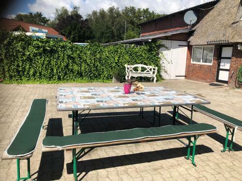 Gro�z�giges Reetdachhaus An Der Nordsee
