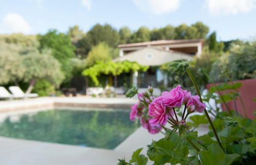 Bed & Breakfast La Bastide Dou Pastre