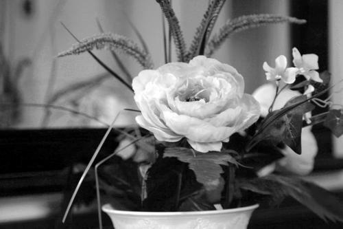 Santa Beach Hotel