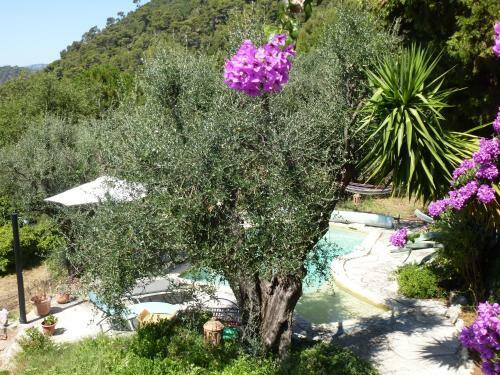 Bed & Breakfast L'origane