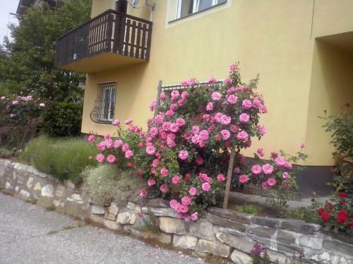 Apartamento Villa Wurzer