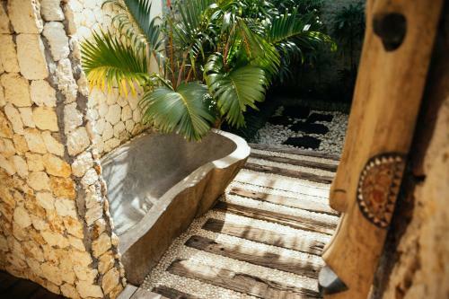 Hotel Rapture Surfcamps Padang-padang