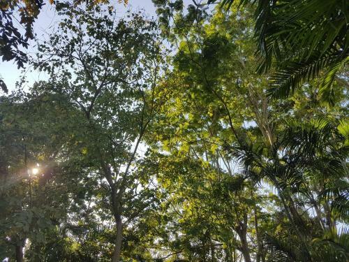 Bed & Breakfast Guesthouse Ratchaburi