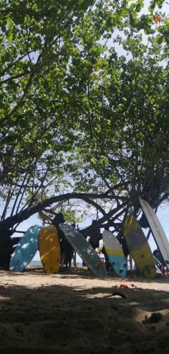 Kita Kita Surf School
