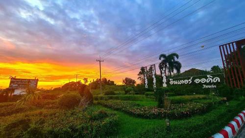 Hotel ???????? ????? ??????? (interorchid Resort)
