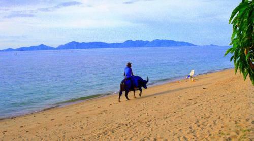 Royal Living Koh Samui - Wonderful Placed With Jacuzzi - Villa 5