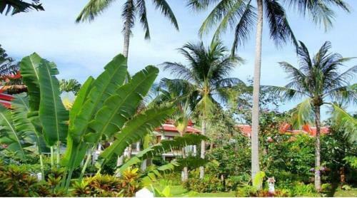 Royal Living Koh Samui - Wonderful Placed With Jacuzzi - Villa 5