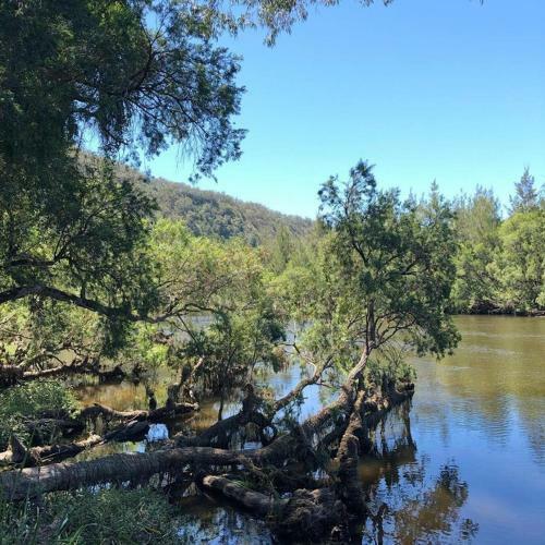 Bellbrook Historic Getaway At Bellmeadow Homestead