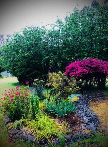 Pemberton Forest View Retreat