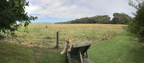 Apartamento Langleys Port Campbell