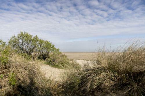 Apartamento Appartementen Bredene