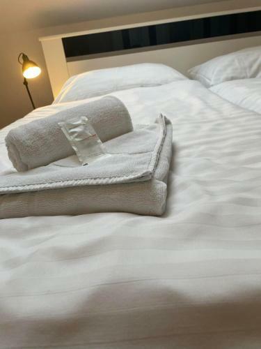 Hostal Penzion Kr�lovsk� L�zn?