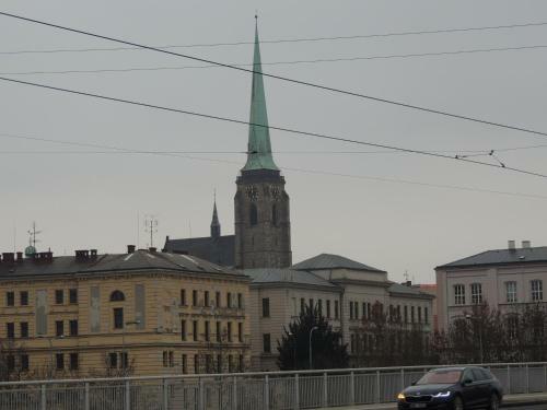 Apartm�ny ?ern� Tulip�n #2