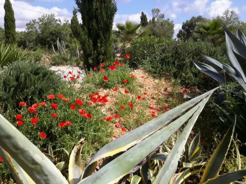 Finca Alqueria Fosca