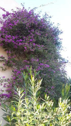 Finca Alqueria Fosca