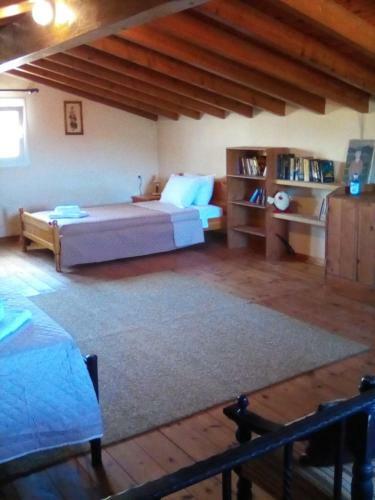 Apartamento Skampous Family