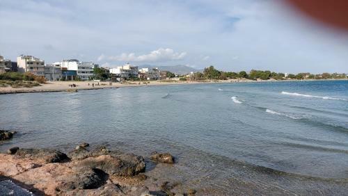 Apartamento Dolphin 2
