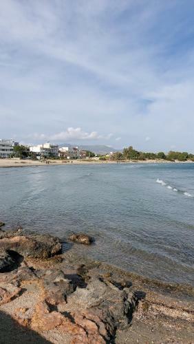 Apartamento Airport Friendly House 1