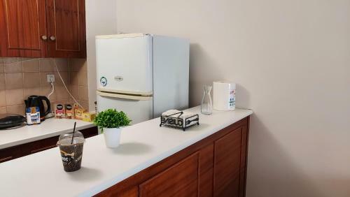 Apartamento Dolphin 1