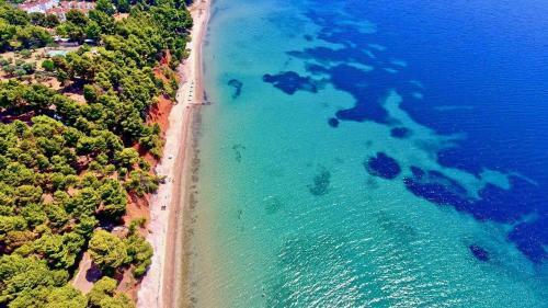 Apartamento Metamorfosi Pine Forest View