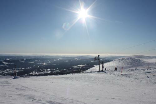 Lillebj�rn
