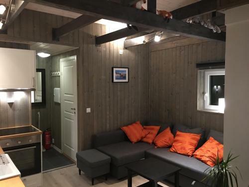 Oppheim-myrkdalen Privat Hytte