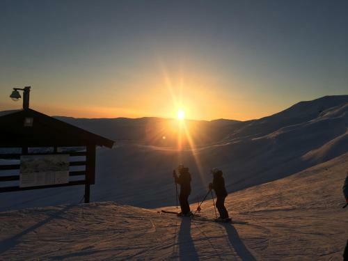 Oppheim-myrkdalen Privat Hytte