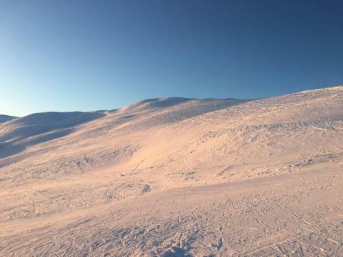 Oppheim-myrkdalen Privat Hytte